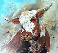 portrait of a steer, jennie scott australian artist